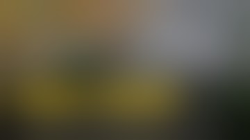 Camera quay cảnh nữ công chức ở Lâm Đồng chặn đường đánh người, công an vào cuộc