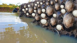 Fisherman meet lots of big clams in pond