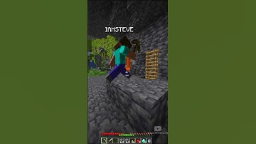 Minecraft Ladder Moment 💀💀💀