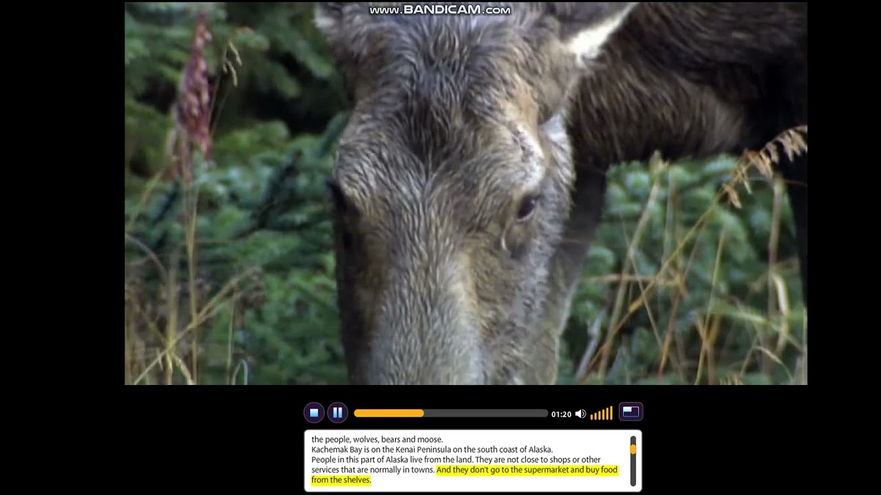 LS Unlock 2 | Unit 1 Alaska