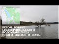 Отдых в Крыму. Симферопольское водохранилище. Затопленные деревья, остров и грязь. ТРЕЗВАЯ БОРОДА.