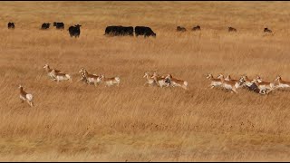 Running Away From Climate Change