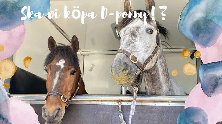 Ska vi kpa ny ponny igen ?? Jennifer rider igen - ...