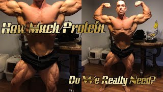 How Much Protein do we Really Need? When should we Eat it Dieting vs Bulking Part 1
