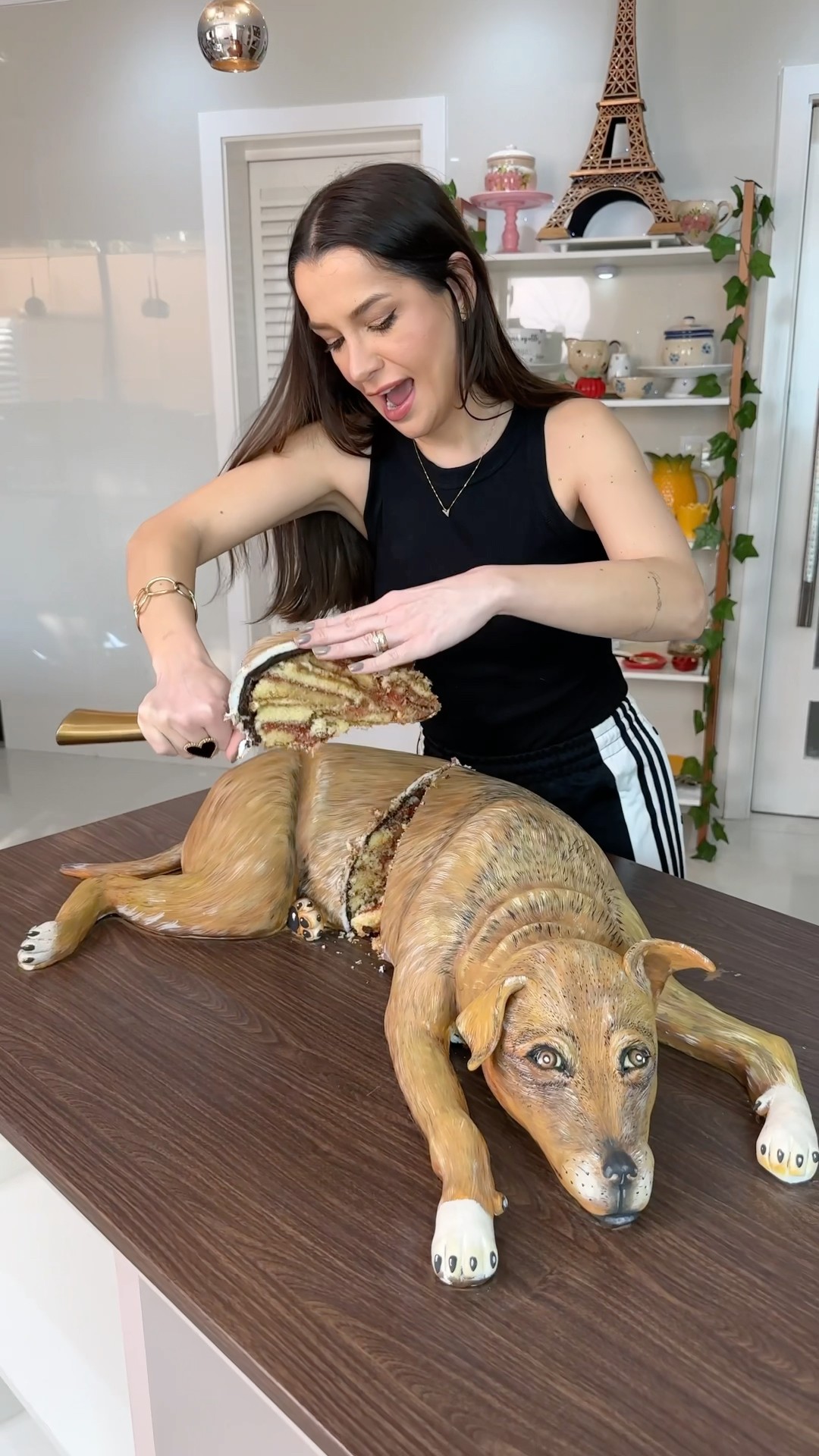 Pela % da bateria do seu celular, qual nota você dá para esse bolo de cachorro?