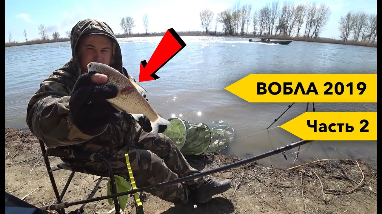 Шашлык на волге