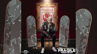 Singing Melody - Fragile (Official Audio Visual)