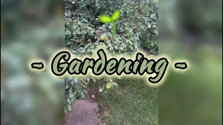Gardening 🪏🪴🫜