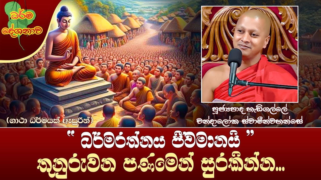 Ven Hadigalle Chandaloka Thero |2024-10-10| 12:30 PM (තුනුරුවන පණමෙන් සුරකින්න...)