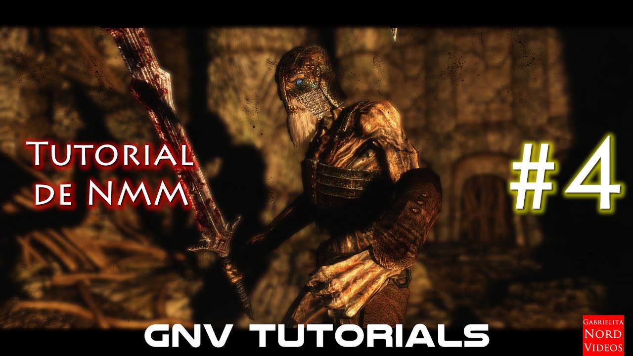 How to use nexus mod manager with skyrim - bloomnsa