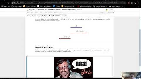 Module 2: Multiplication of Vector by Scalar   Geometric Approach
