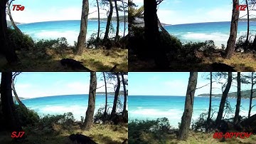 Firefly 8S-90 vs Yi2 vs SJCam SJ7 vs ThiEye T5 - 1080p@60fps Gyro EIS