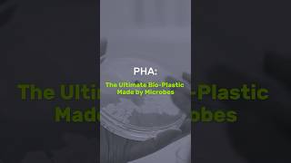 Pha The Ultimate Bio-Plastic Made By Microbes