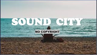 9th Symphony, Finale (by Beethoven) - Beethoven (No Copyright Music)