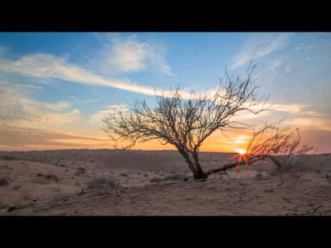 سكرة الموت احمد غريب الشمري