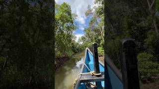 A Bird Spotting Trail In Dr. Salim Ali Bird Sanctuary Comment To Know More