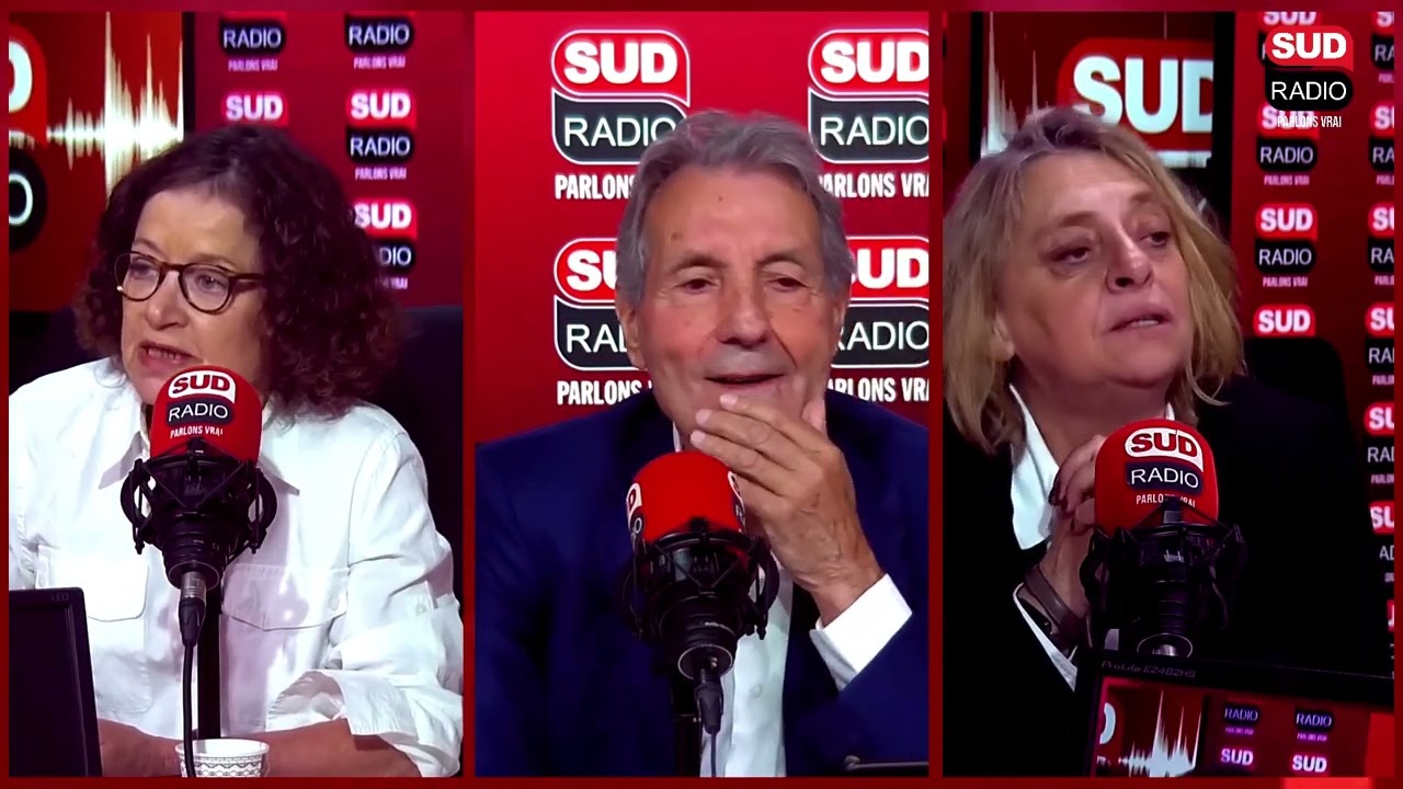 Manifestation pour la "Flottille de la liberté" : une journaliste de Franceinfo prise à partie