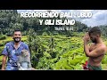 COMO RECORRER BALI , UBUD, GILI ISLAND