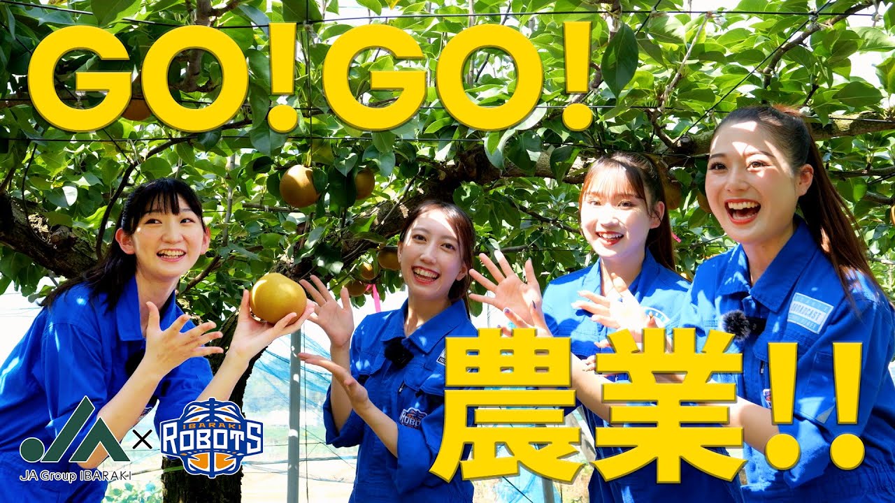 JAグループ茨城×茨城ロボッツ「RDT★GO GO農業」～JA常総ひかり・梨