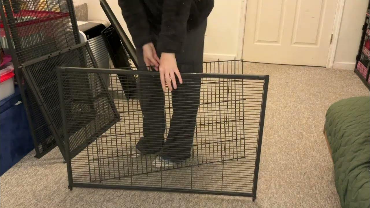 Assembling A Single Critter Nation for my Rats! YouTube