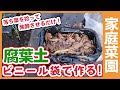 腐葉土はビニール袋で簡単に作れる!家庭菜園や農園で拾った落ち葉を使って、土作りや堆肥に使える肥料に大変身!【農家直伝】
