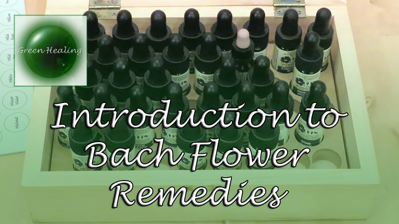 What Are Bach Flower Remedies (Introduction to Bach Flower Remedies