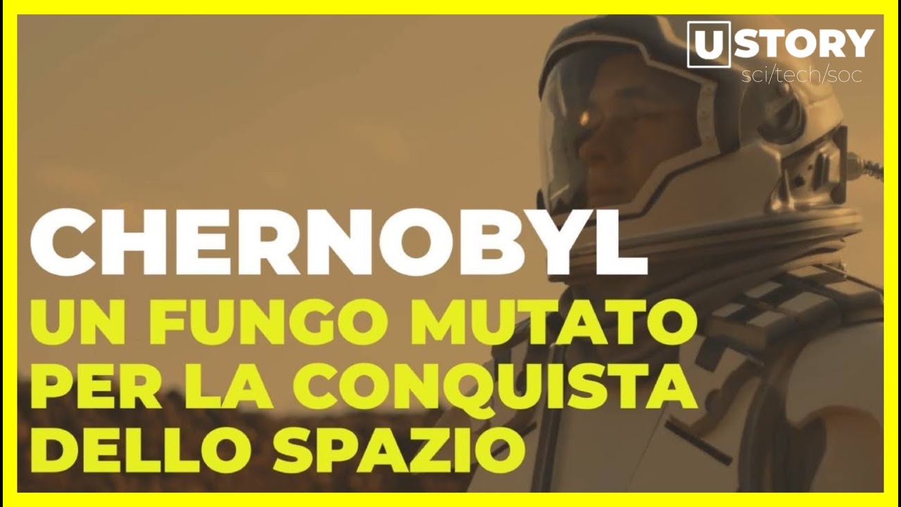 ⁣Chernobyl: scoperto fungo nero, è la chiave per vivere su Marte