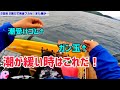 [一泊釣り旅 2日目]完全フカセ！僅かな潮の流れを最大限に発揮する仕掛けを流すと…#2馬力ボート #完全フカセ
