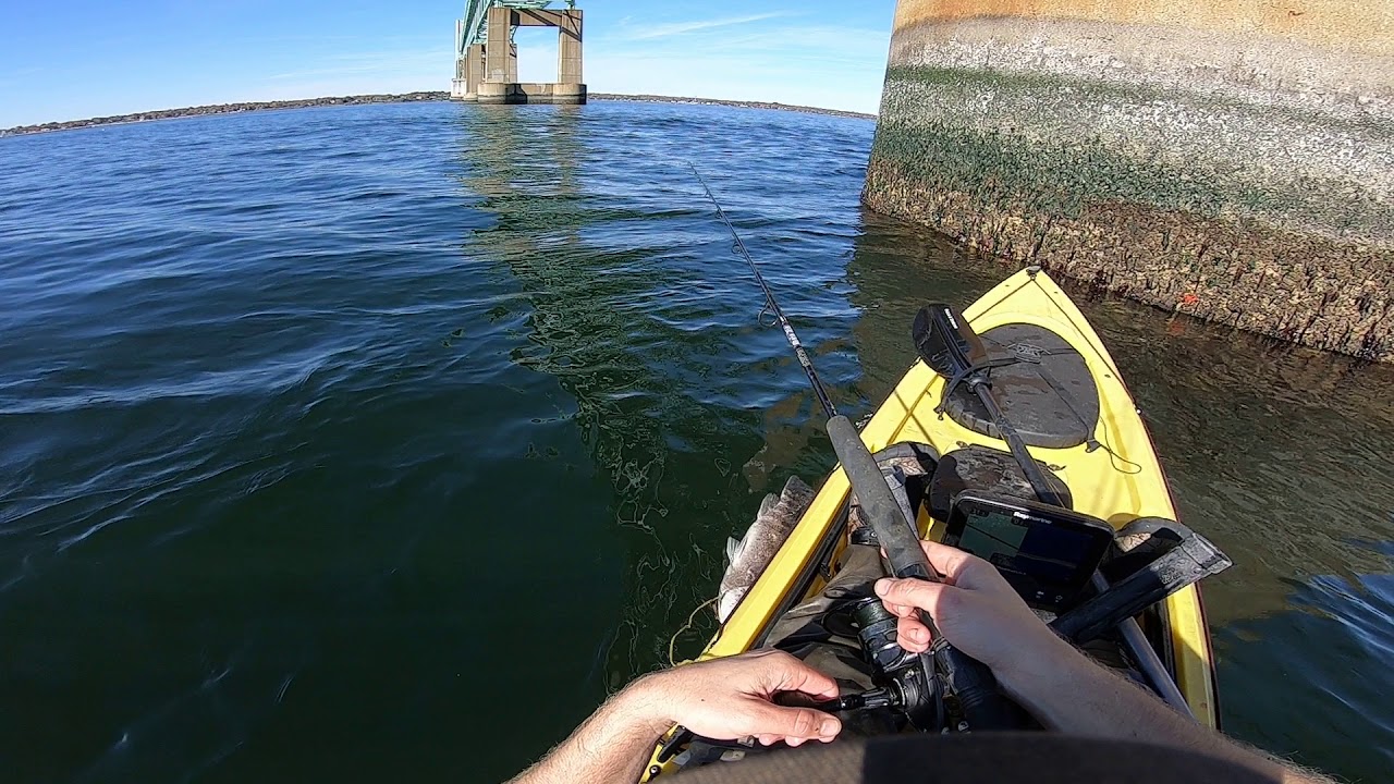 Tog fishing 11/4/18 (second fish)