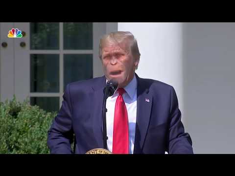 Schimpansen Trump var nere på ground zero under 9/11 ::: DeepFake Apes