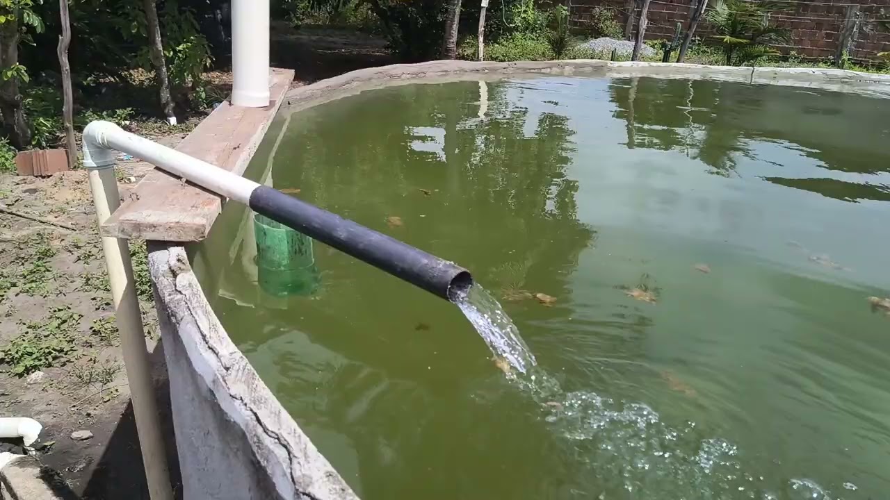 Como fica o super decantador com o filtro Rodrigo Ferragens?