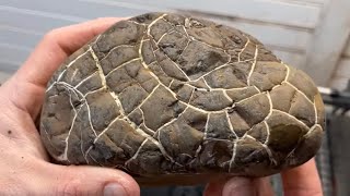Fossilized Mud Bubble, Lighting Stone! Gary J