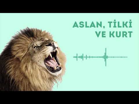 Aslan, tilki ve kurtun mükemmel hikayesi