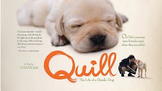 Quill: The Life of a Guide Dog (2004)