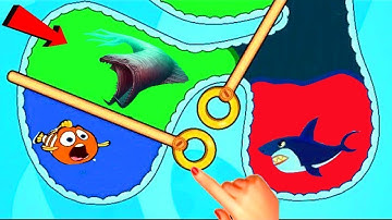 save the fish game save fish fishdom gameplay | 2022