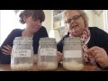 Dr Masuru Emoto's Rice Experiment