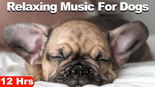 Dog Music For Anxiety (12 Hours)