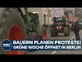 BAUERN-PROTESTE: Aktion von Landwirten geplant! Grüne Woche öffnet - Vertreter der Ampel kommt
