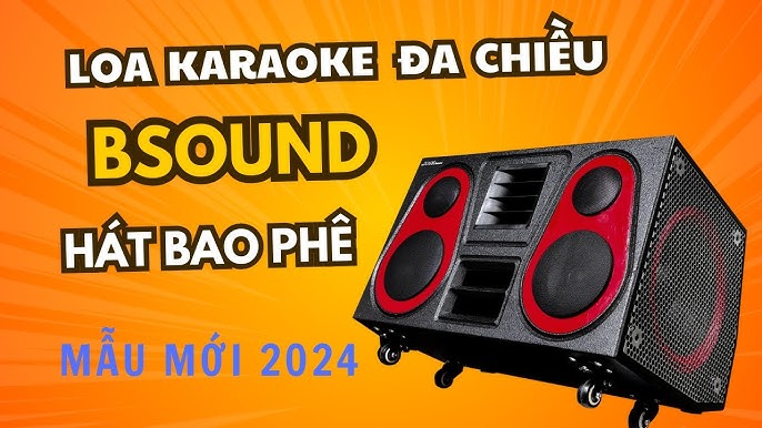 Loa karaoke Bsound đa chiều công suất lớn năm 2024. - YouTube