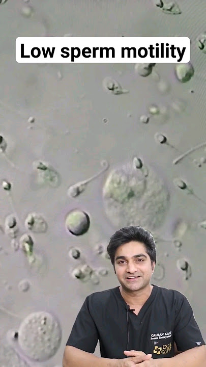 Download lagu Low Sperm Motility | Slow sperms don't reach egg! #maleinfertilitytreatment #IVF #ICSI