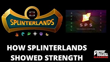 HOW SPLINTERLANDS SHOWED STRENGTH IN A BEAR MARKET