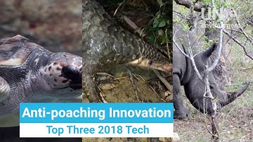 Top 3 Anti-poaching Technologies of 2018