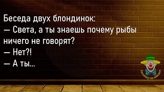 🤡Беседуют Две Блондинки...Сборник Новых Смешных Анекдотов,Для Супер Настроения!