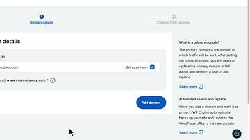 How to add your domain to the WP Engine User Portal and set it as the primary do