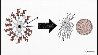 Prion Hastalıkları