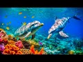 Beautiful Relaxing Music to Relieve Stress, Anxiety &amp; Depression 🐠 Mind, Body &amp; Soul Healing #29