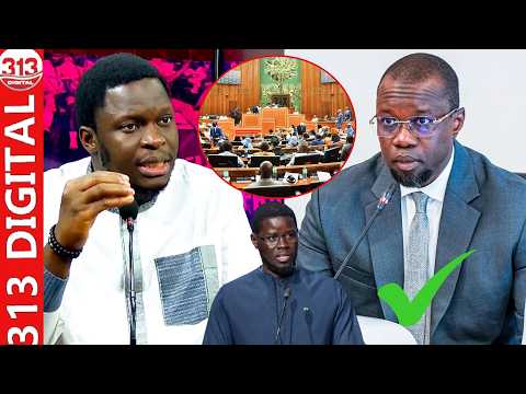 Good news for Sonko and the MPs: Vito Gaye drops last-minute info on the appeal