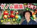ゲノム編集って何？遺伝子組み換えと何が違うの？本当に安全？