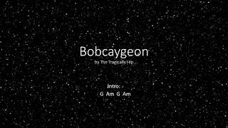 Video thumbnail of "Bobcaygeon by The Tragically Hip - Easy Chords and Lyrics"