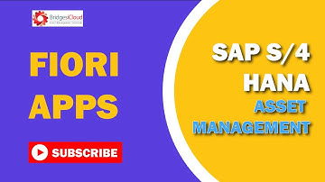 Conquer SAP S/4HANA Asset Management: The Essential Guide!